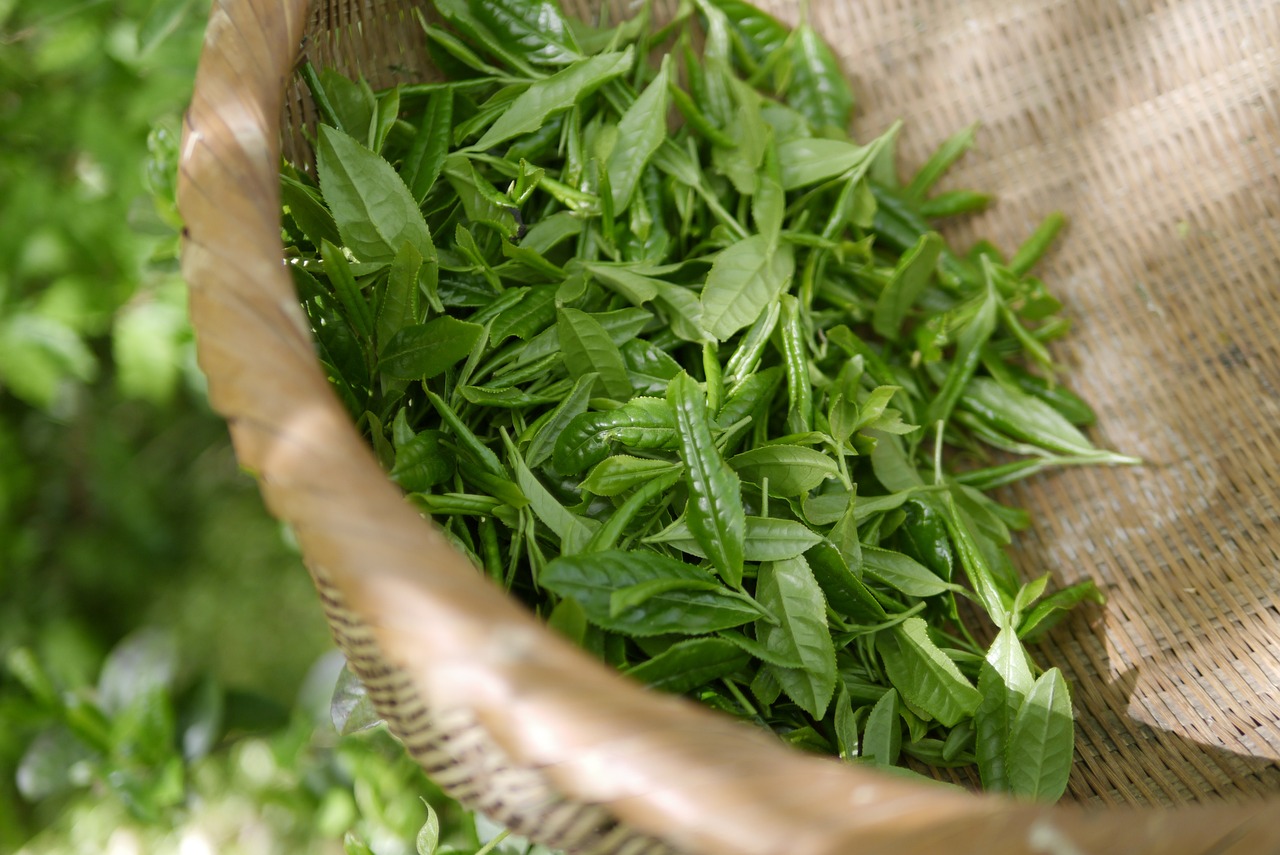 Tea Leaves: Nature’s Heavy Metal Filter