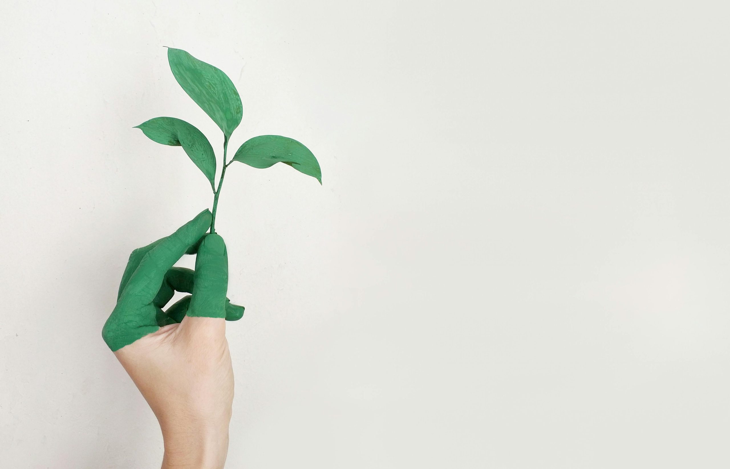 Water & Energy Efficiency: Easing the Environmental Burden