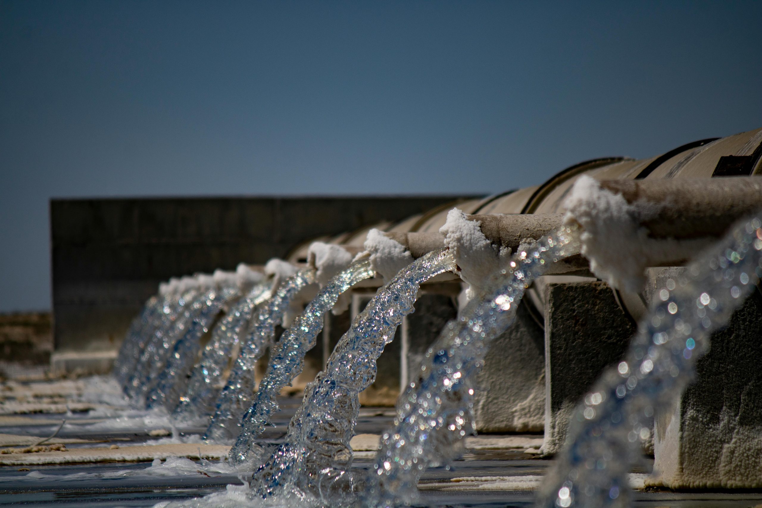 Squid bones transformed into hyperosmotic water purification membranes